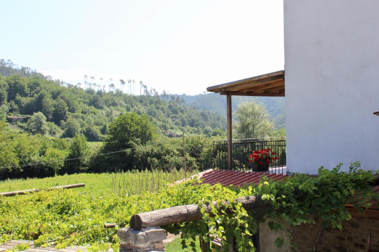 Agriturismo La Ferriera Pignone Eksteriør billede