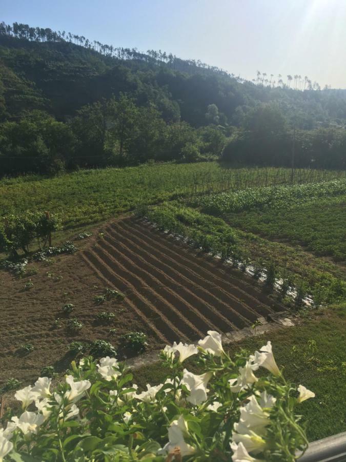 Agriturismo La Ferriera Pignone Eksteriør billede